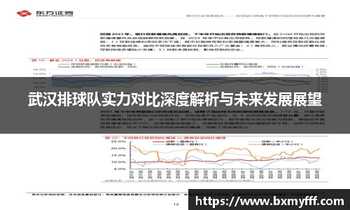 武汉排球队实力对比深度解析与未来发展展望